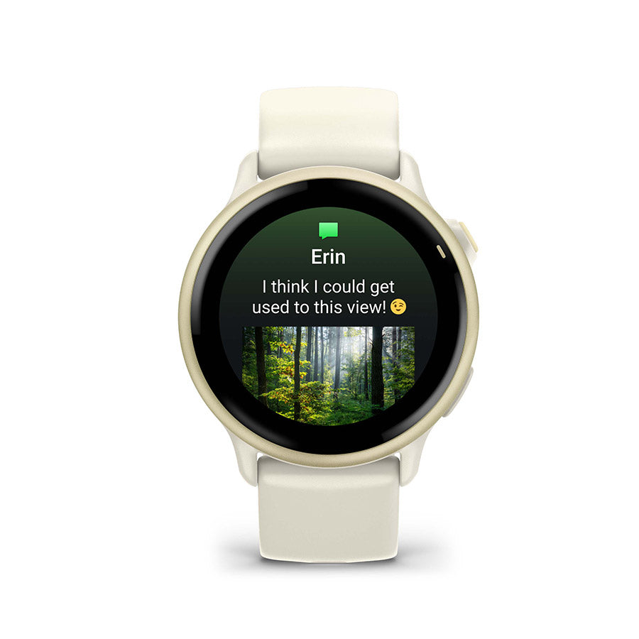 Garmin vivoactive 6, Or, vue 2
