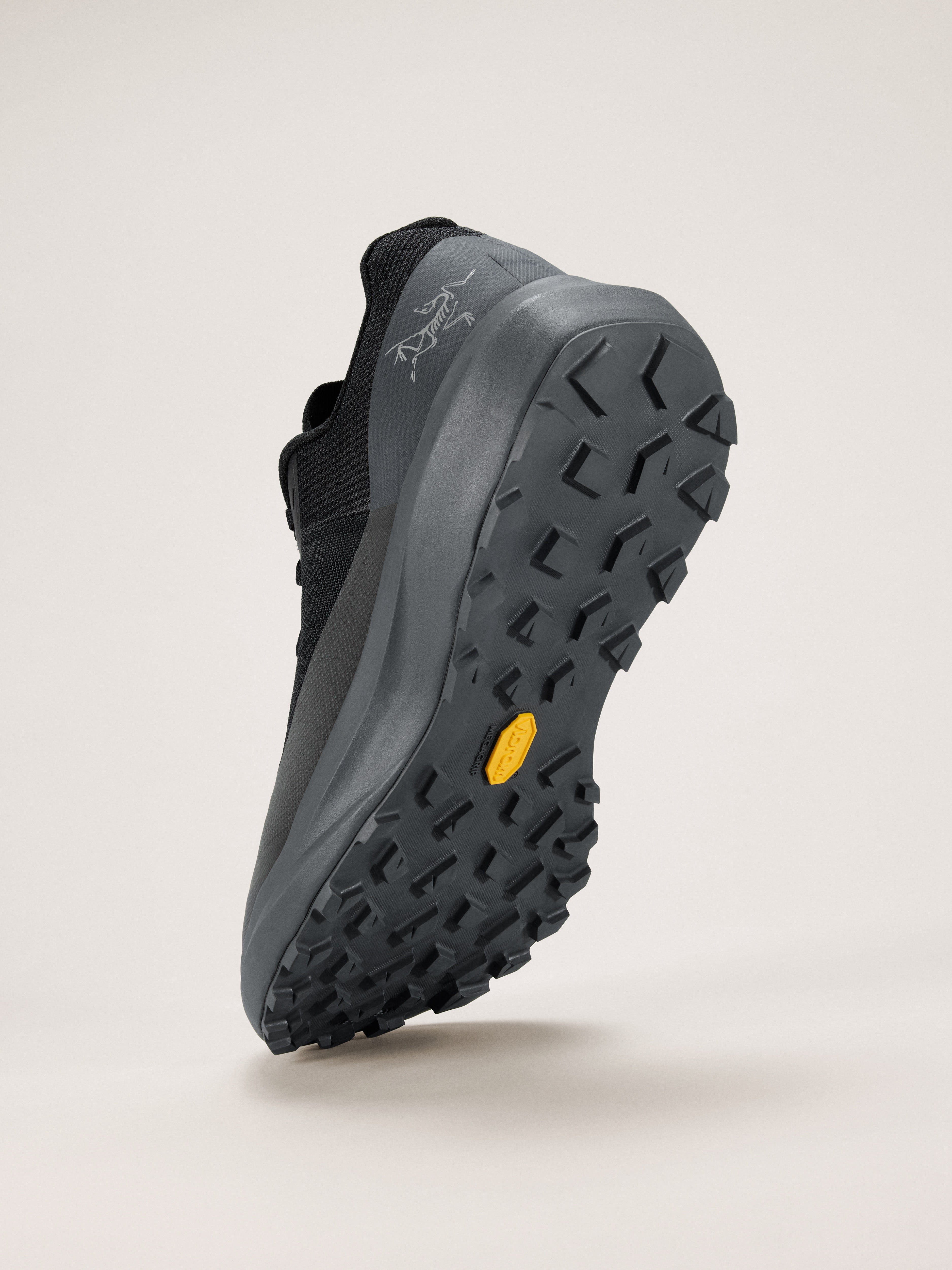 ARC'TERYX NORVAN LD 4 H/M