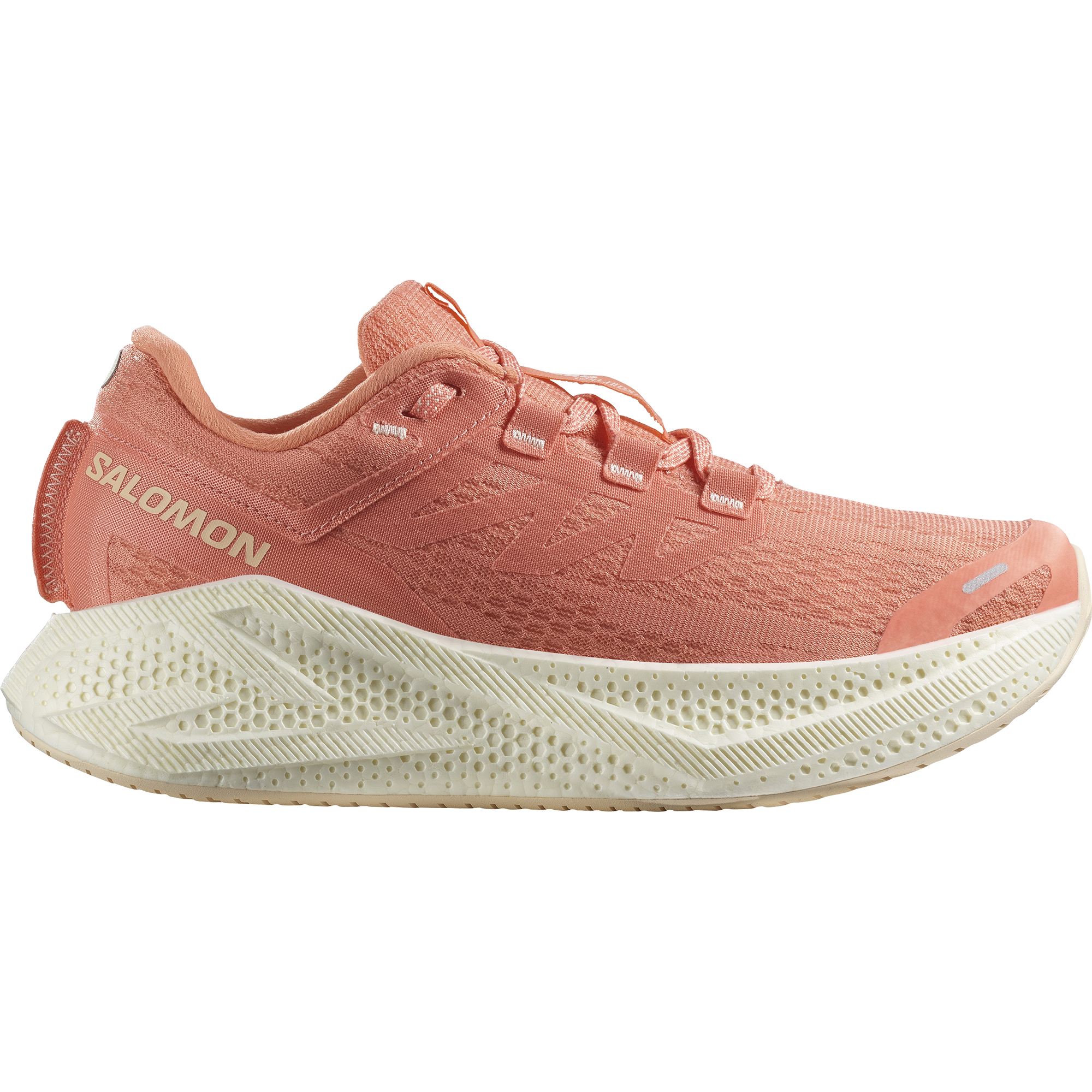 SALOMON AERO GLIDE 3 F/W