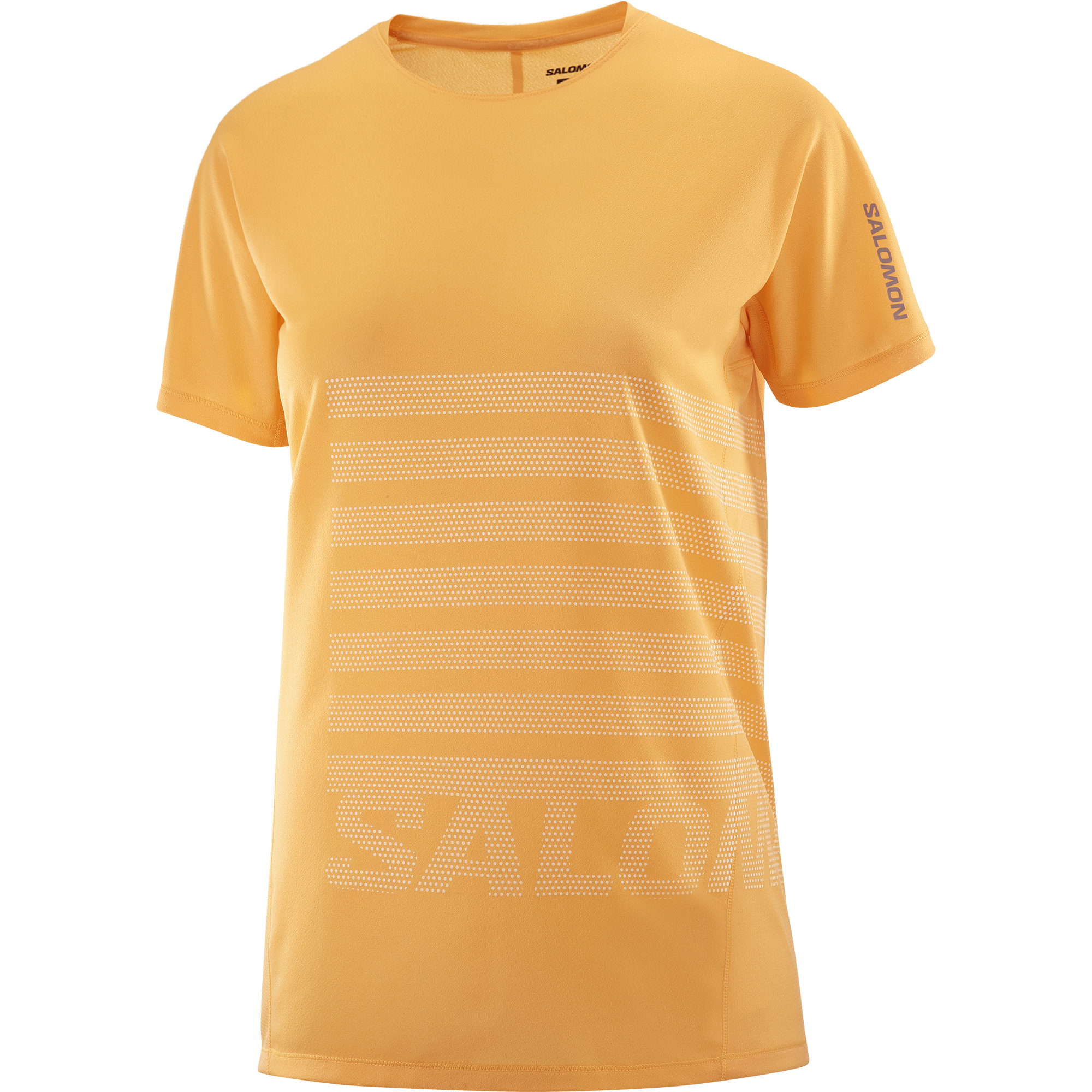 SALOMON SENSE AERO SS TEE GFX F/W