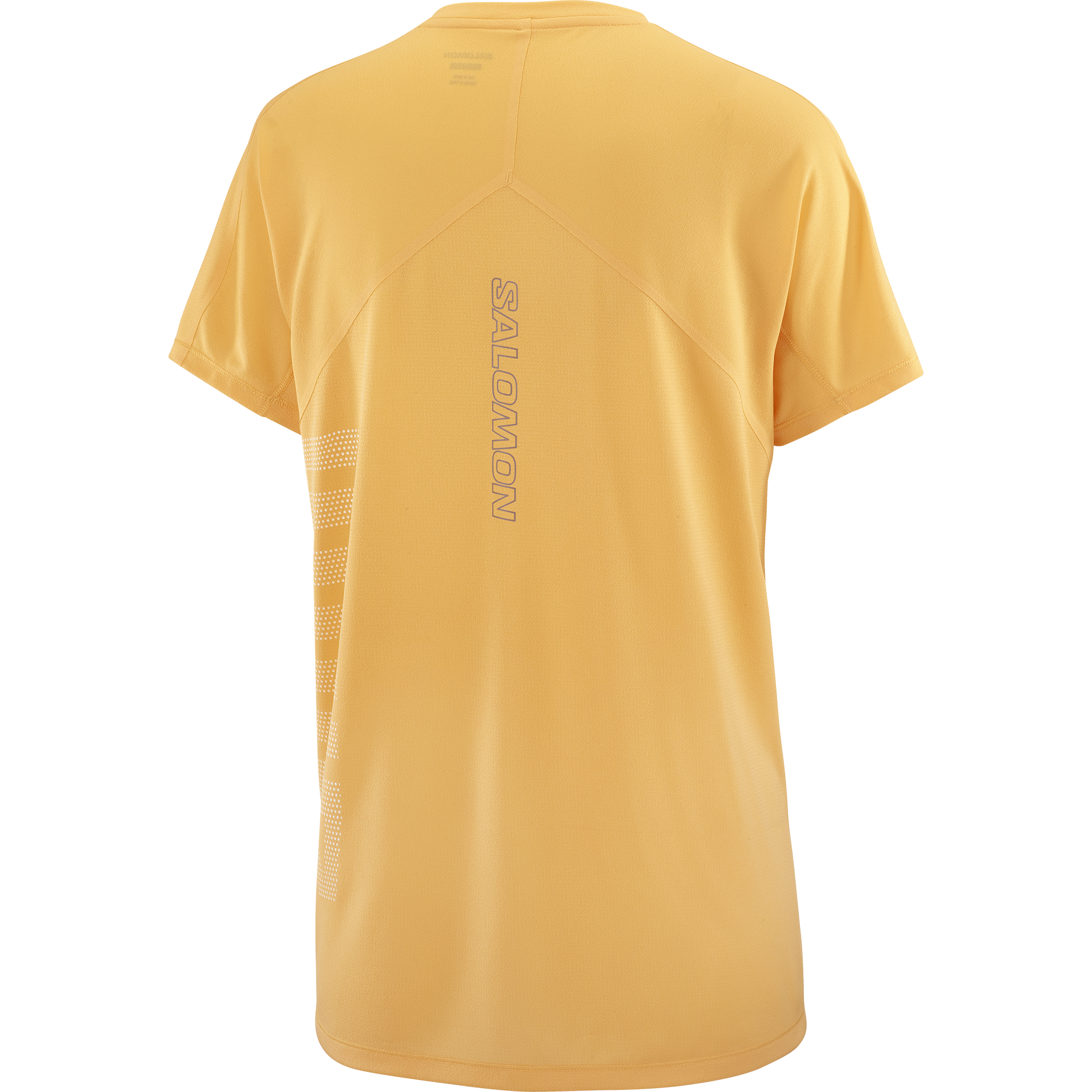 SALOMON SENSE AERO SS TEE GFX F/W