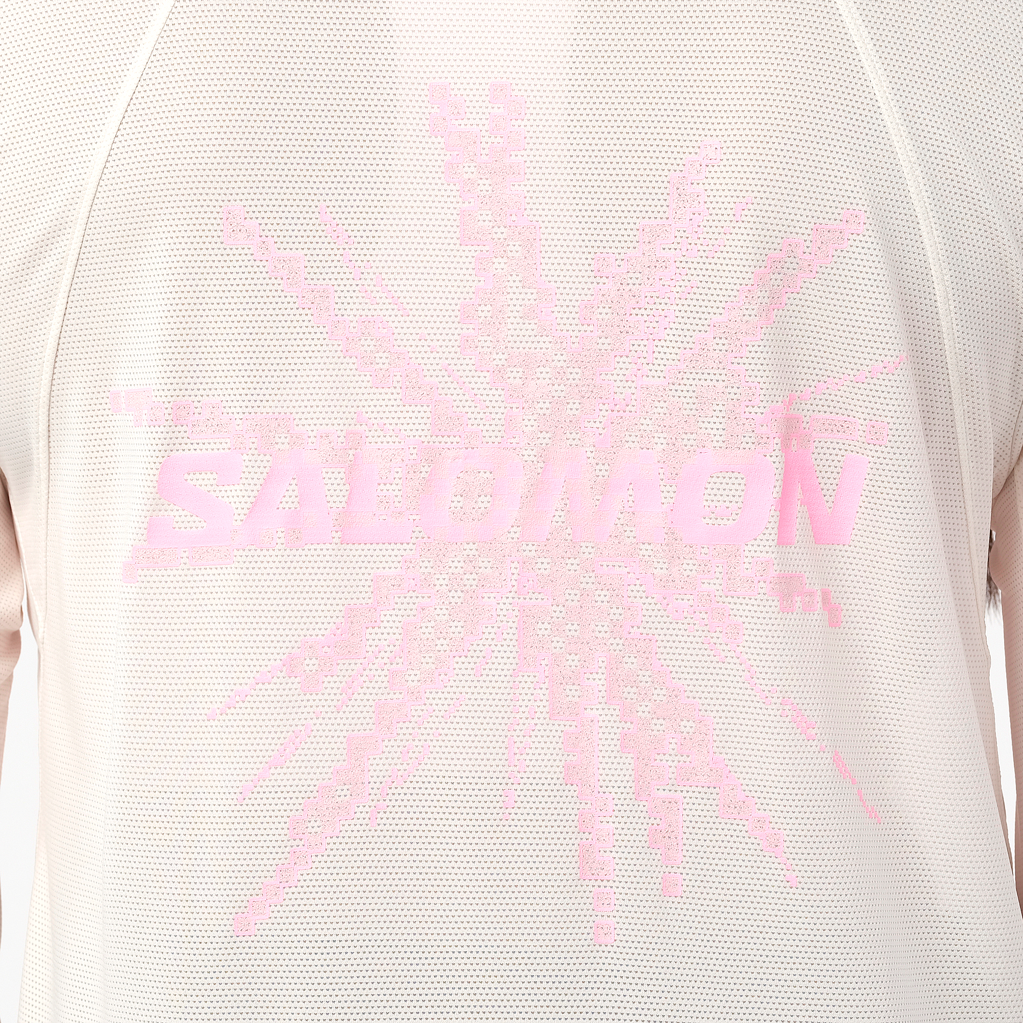 SALOMON SHAKEOUT CORE LS TEE GFX F/W