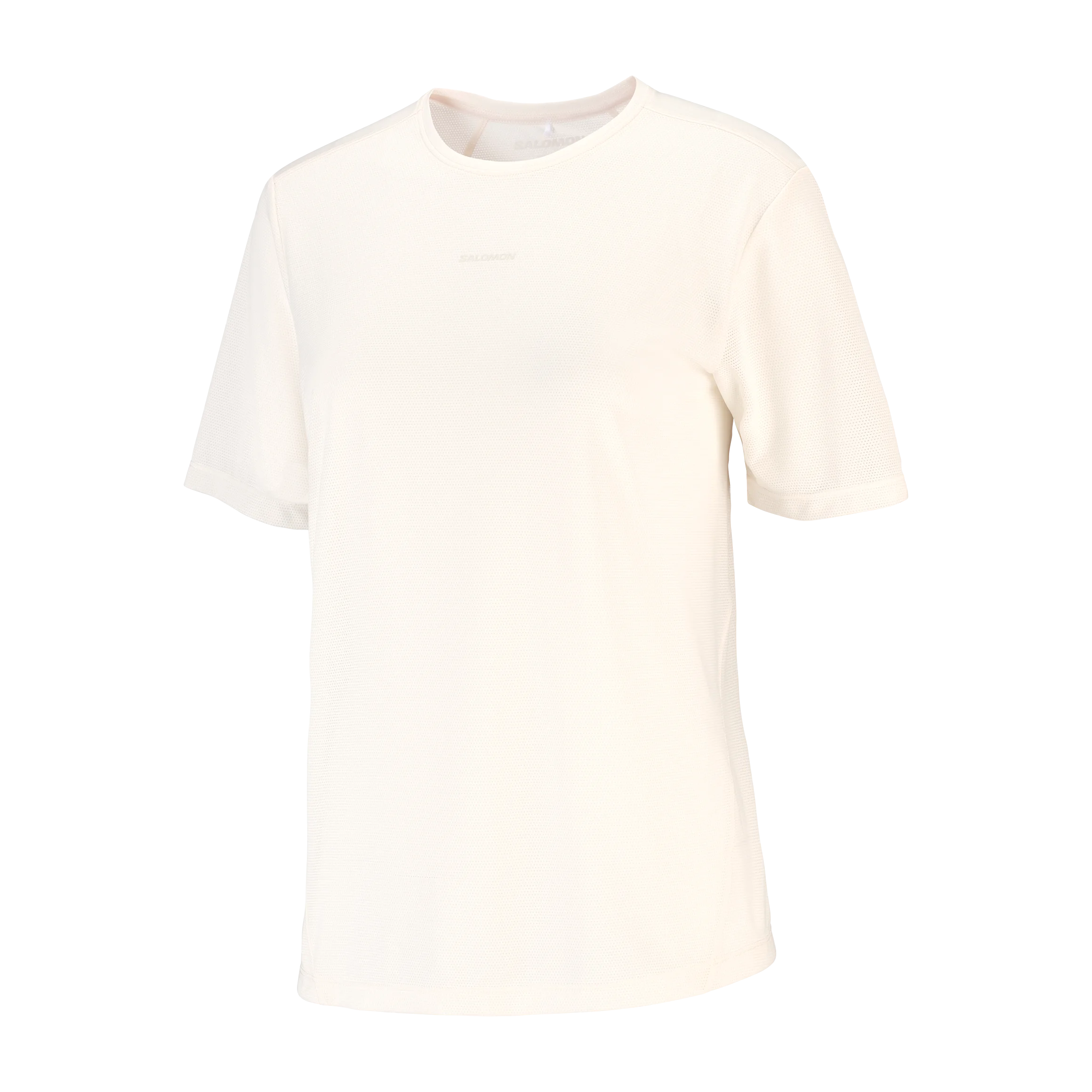 SALOMON SHAKEOUT CORE SS TEE GFX F/W