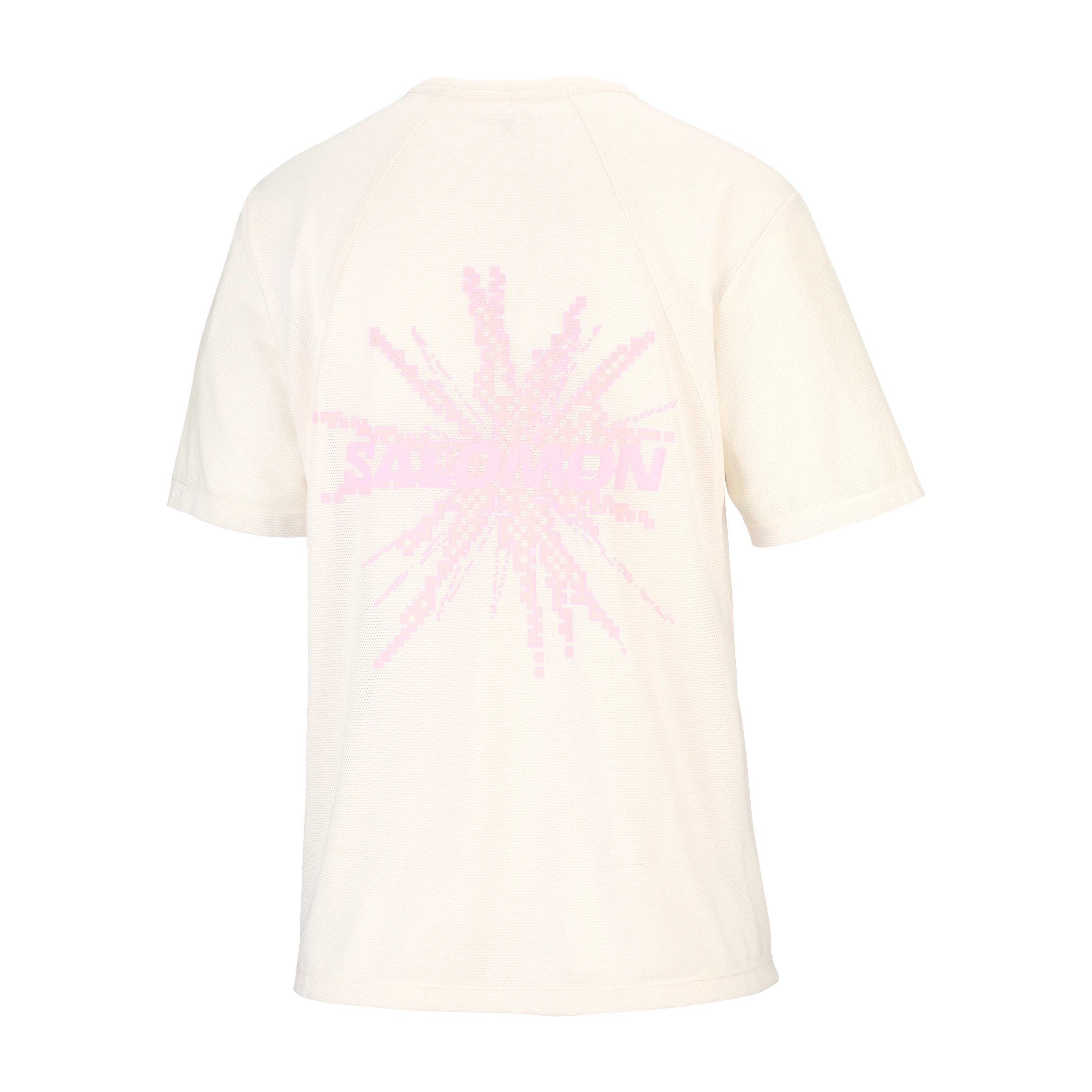 SALOMON SHAKEOUT CORE SS TEE GFX F/W