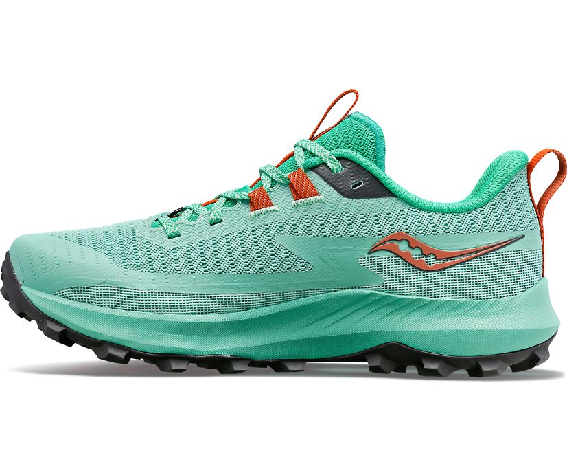 SAUCONY PEREGRINE 13 F/W