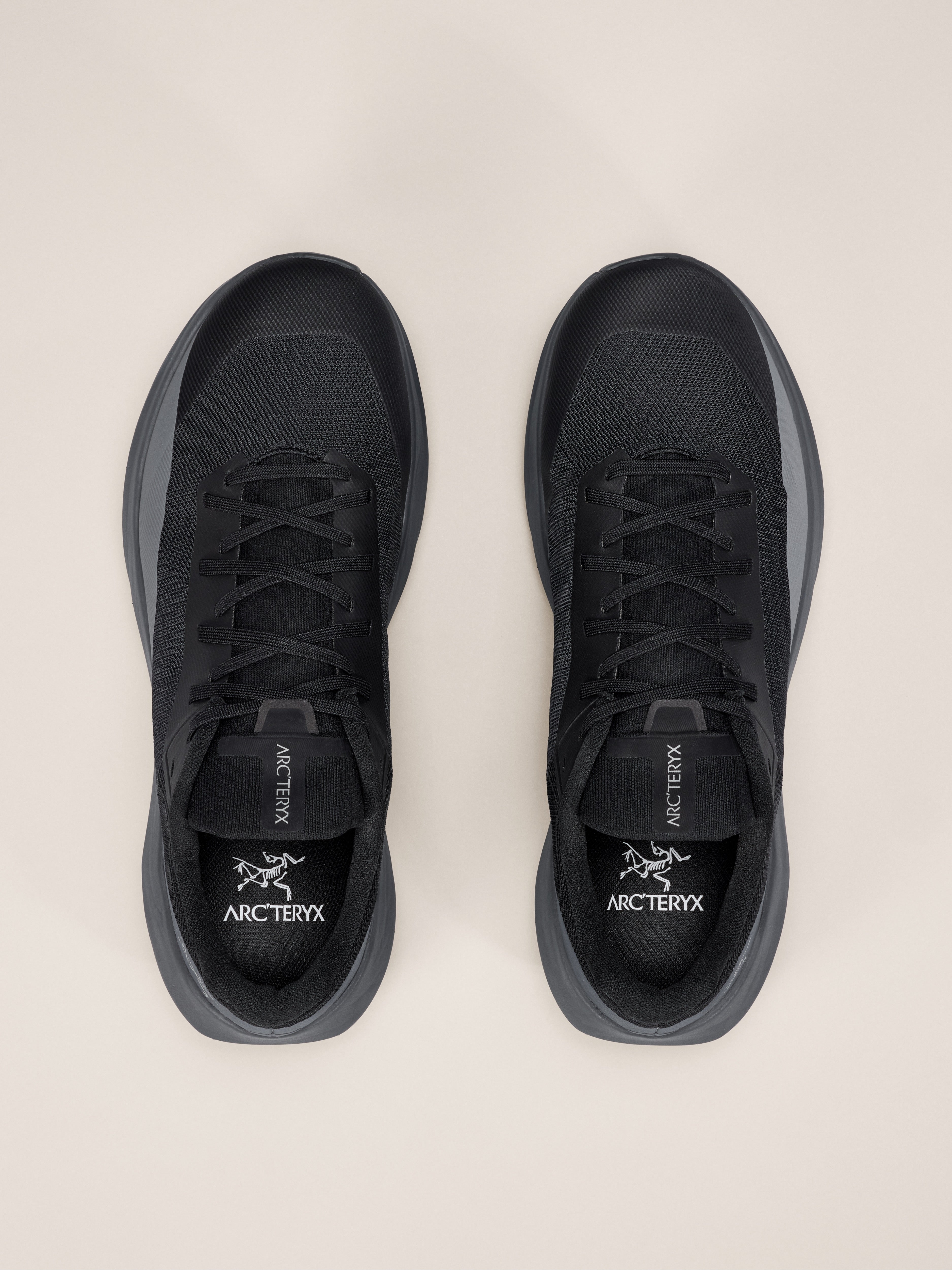 ARC'TERYX NORVAN LD 4 H/M