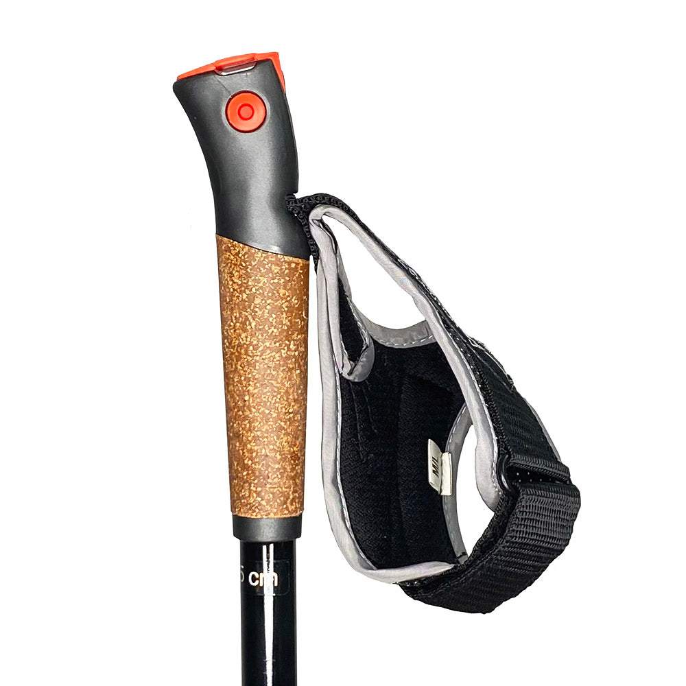 KV+ TEMPESTA (100% CARBON)