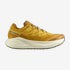 SALOMON AERO GLIDE 3 GRVL H/M