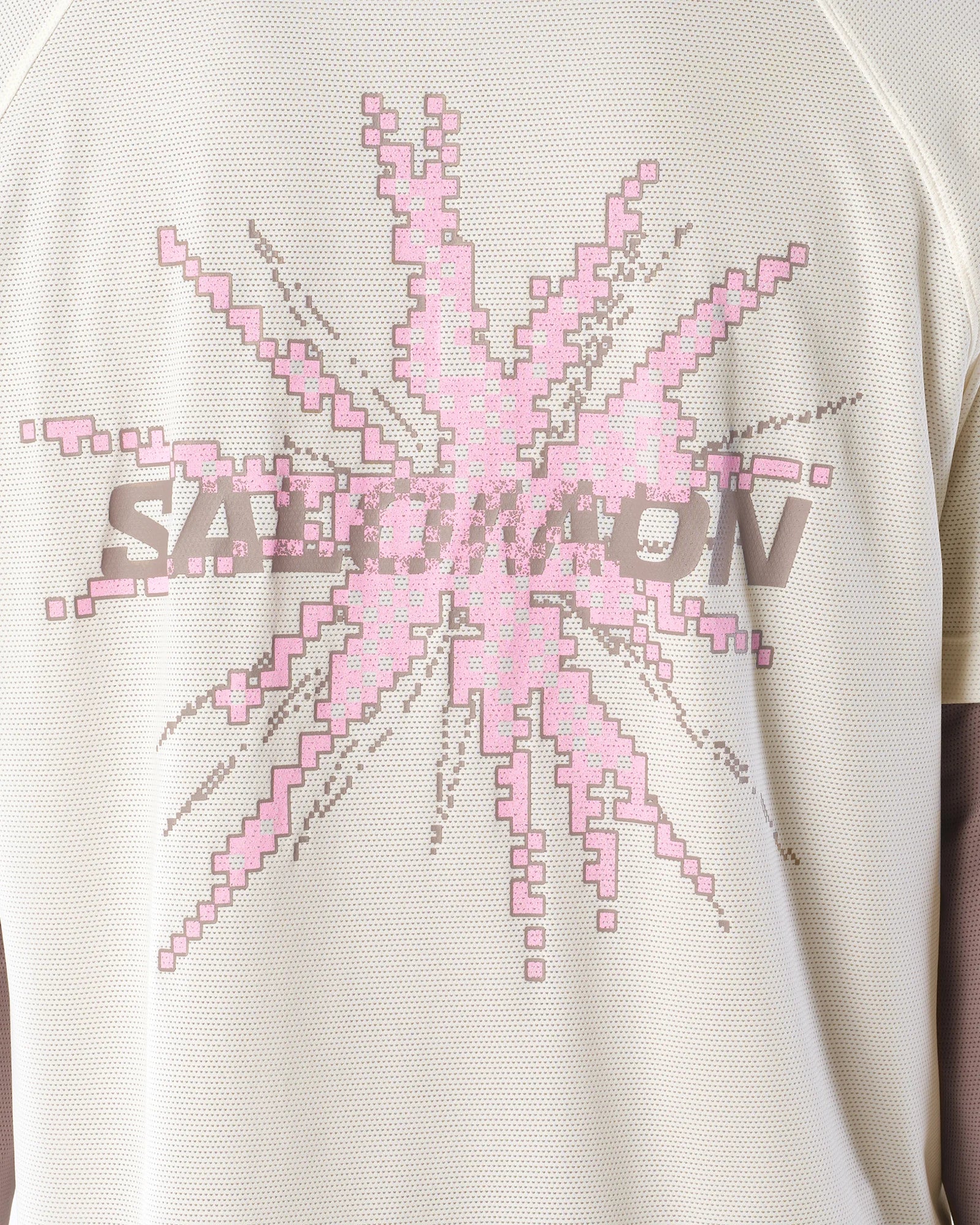 SALOMON SHAKEOUT CORE SS TEE GFX H/M