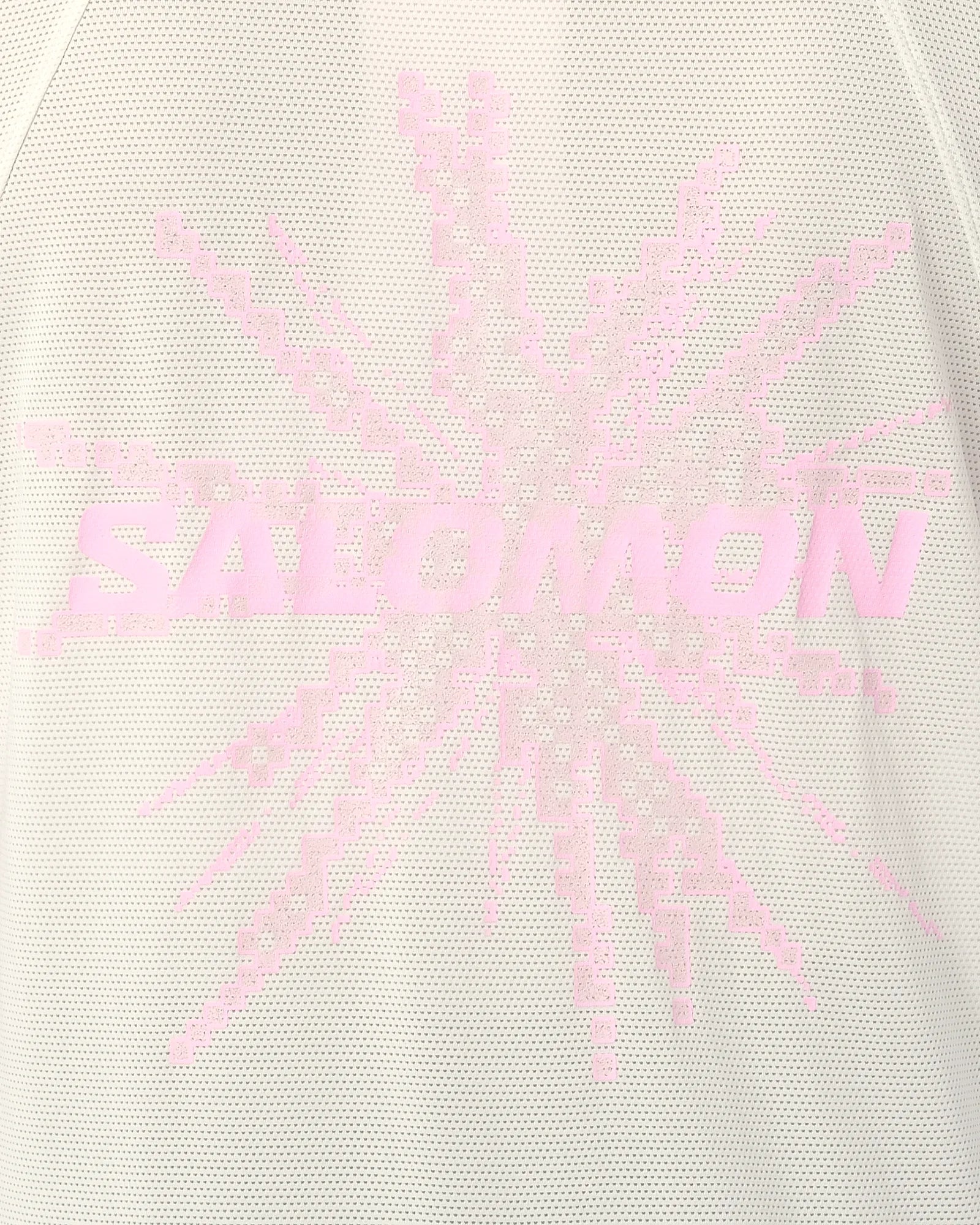 SALOMON SHAKEOUT CORE SS TEE GFX F/W