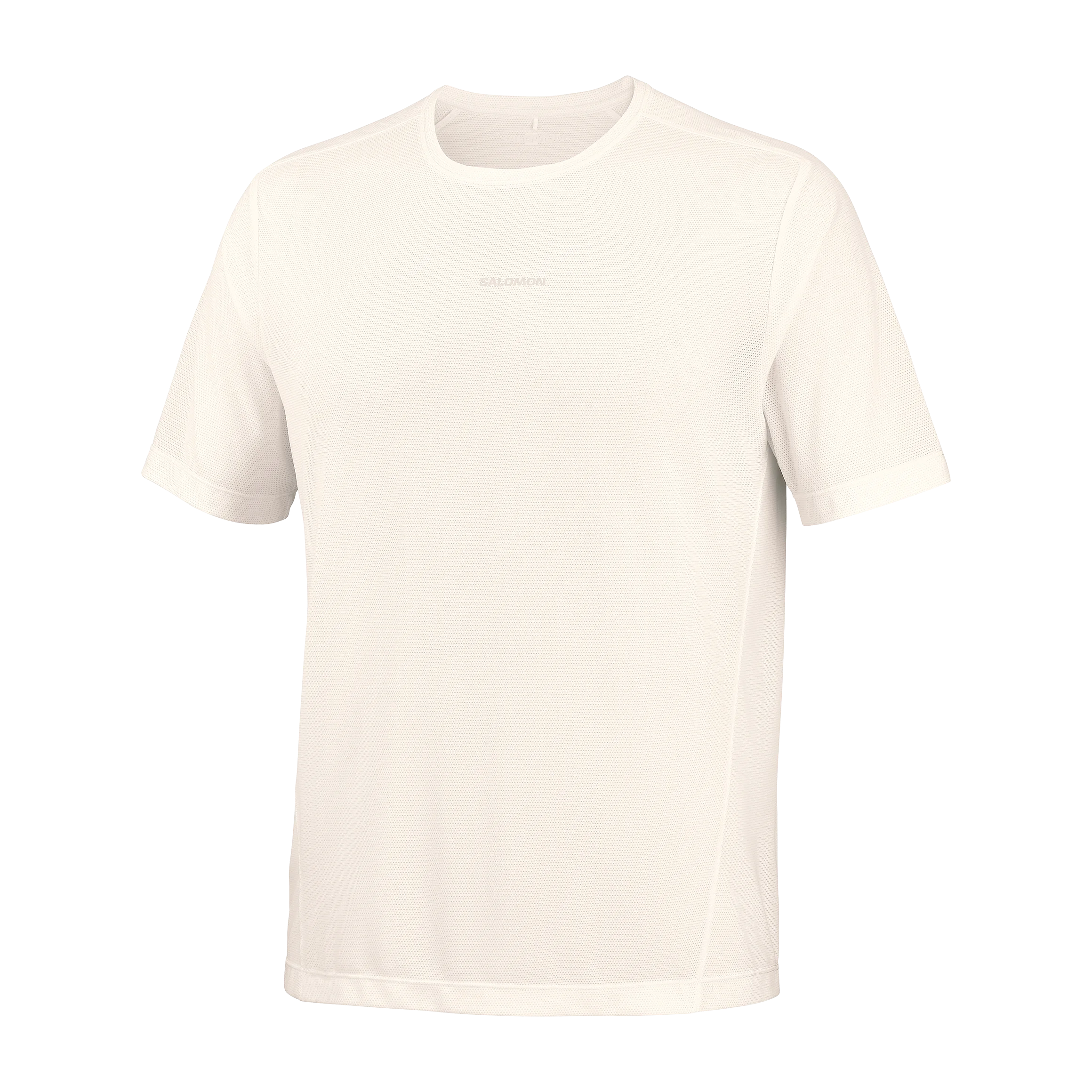 SALOMON SHAKEOUT CORE SS TEE GFX H/M