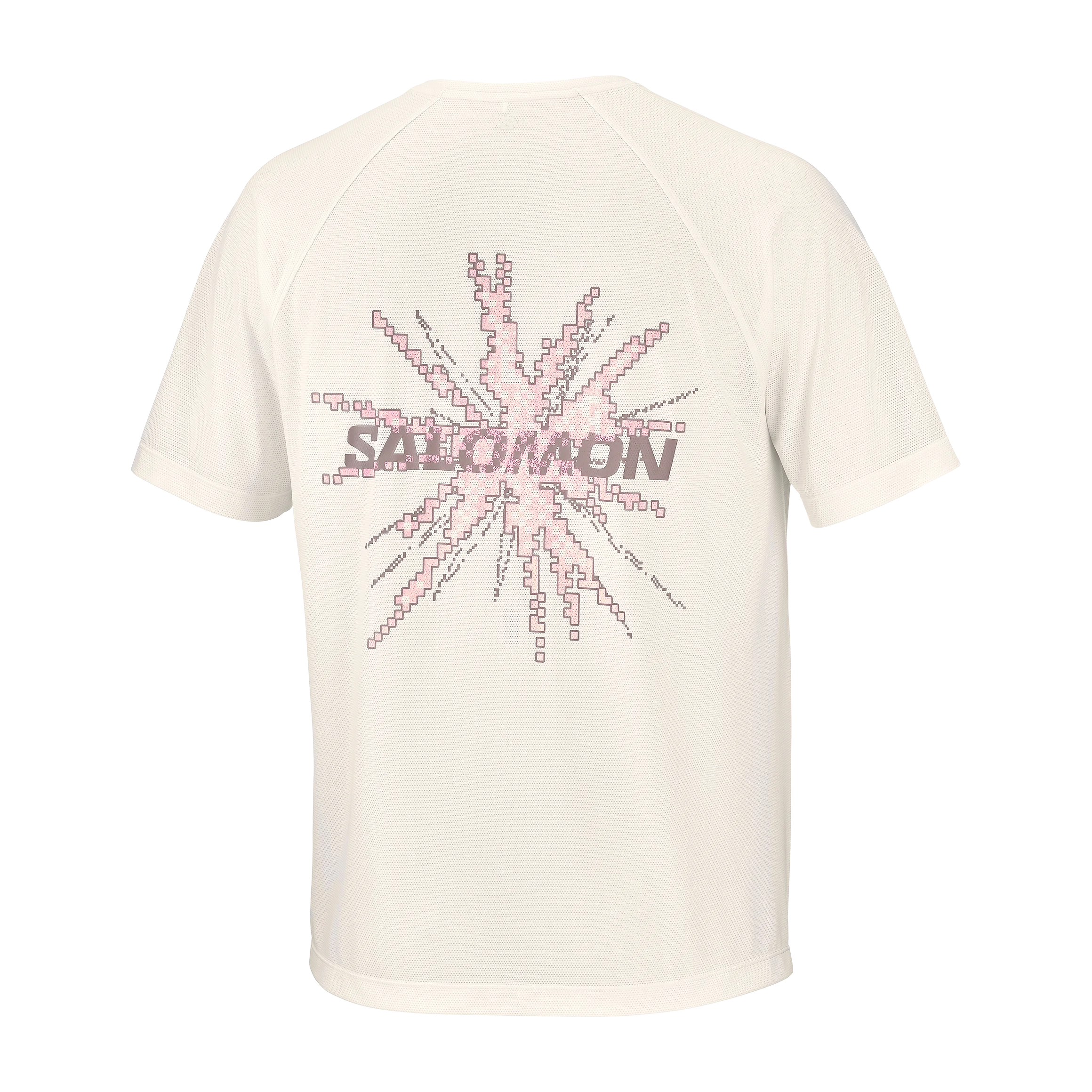 SALOMON SHAKEOUT CORE SS TEE GFX H/M
