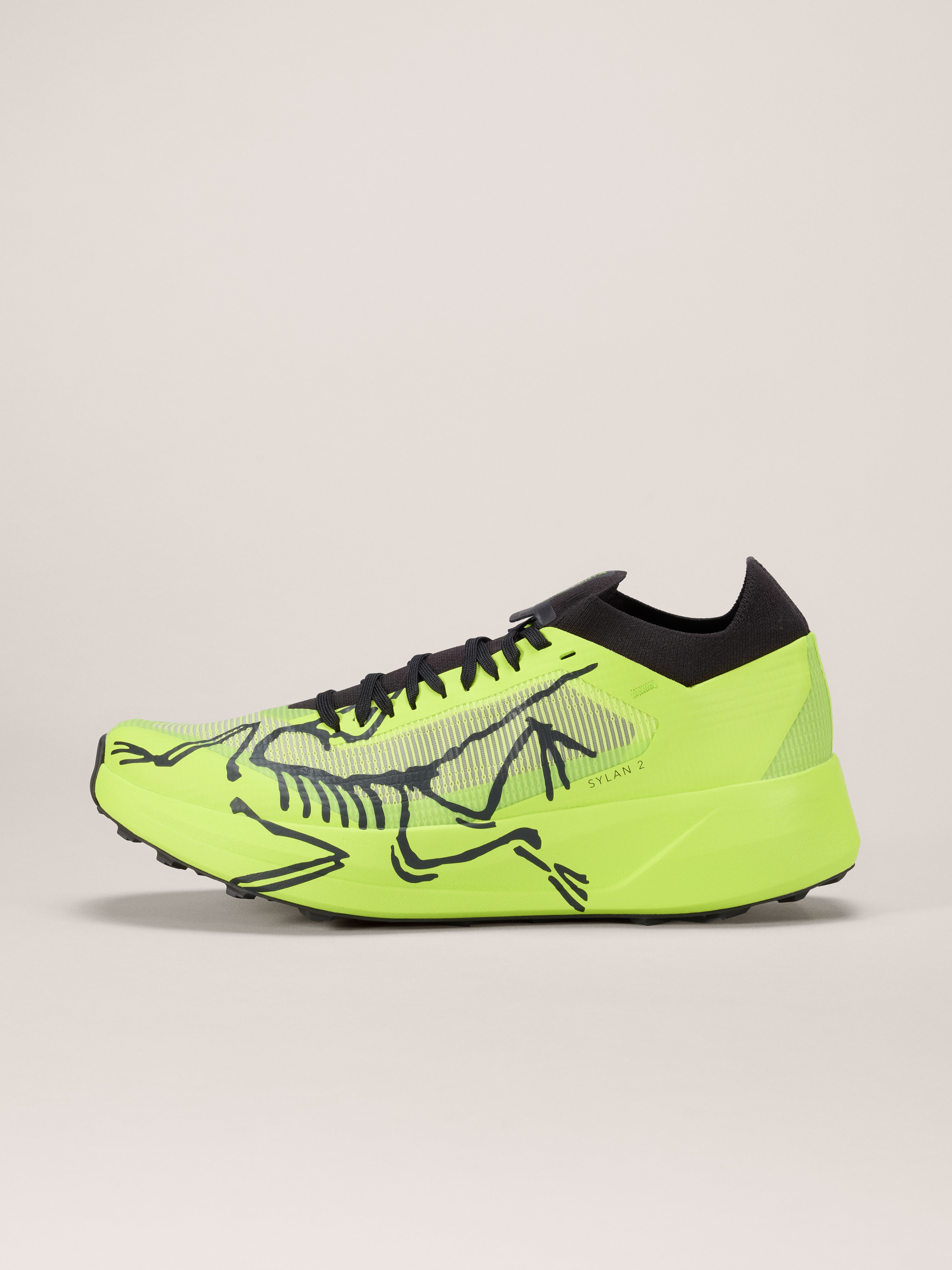 ARC'TERYX SYLAN 2 H/M